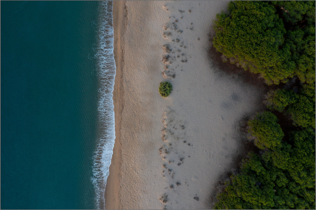 Am Strand