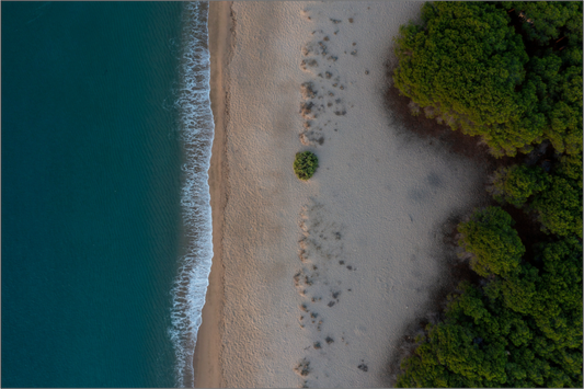 Am Strand